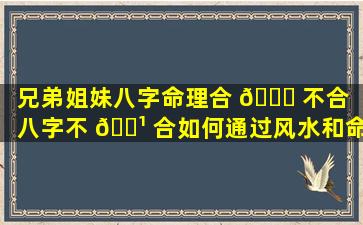 兄弟姐妹八字命理合 🐈 不合「八字不 🌹 合如何通过风水和命理来化解」